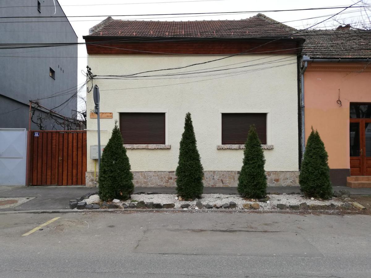 Arthouse Lucrezia Hotel Тимишоара Екстериор снимка